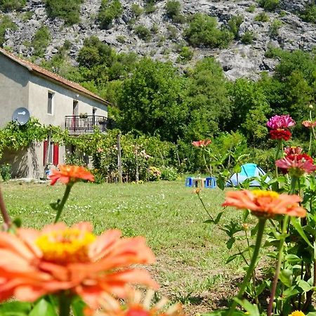 Camp Podkraj Hotel Virpazar Exterior photo